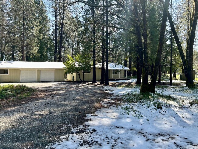 Foto del edificio - Wooded 2 bedroom cabin in nice neighborhood