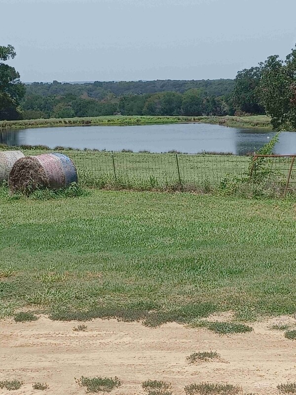 Foto del edificio - 3518 Vz County Rd 2602