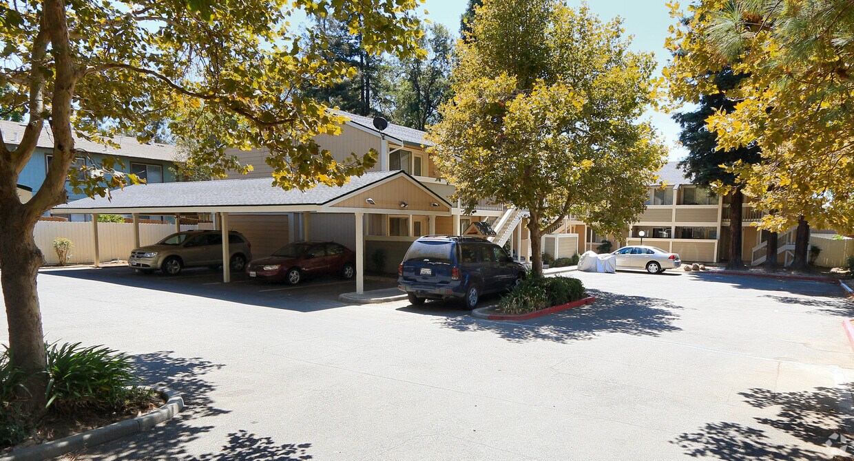 Building Photo - Maple Grove Apartments