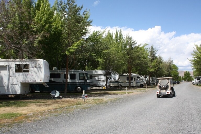 Primary Photo - Sunny Springs Resort & Campground