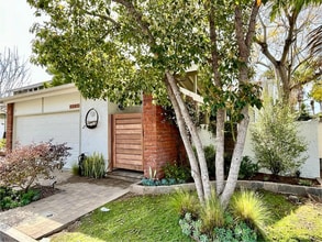 Building Photo - 3305 Vivienda Cir