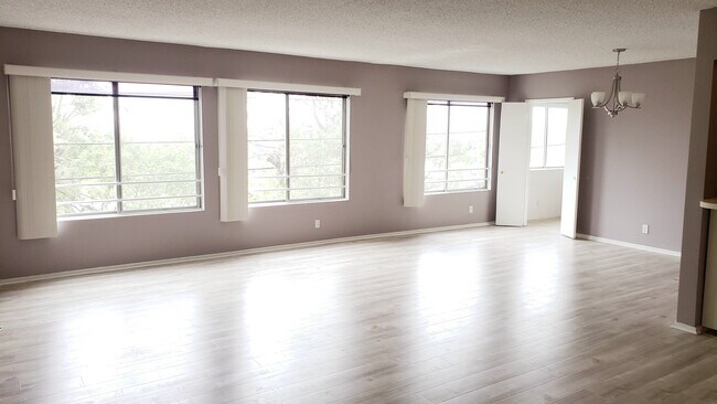 Tons of Natural Light - 1259 S Camden Dr