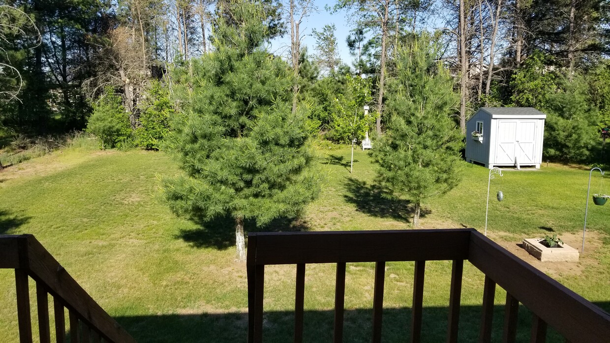 Back Yard - 1100 Zblewski Dr
