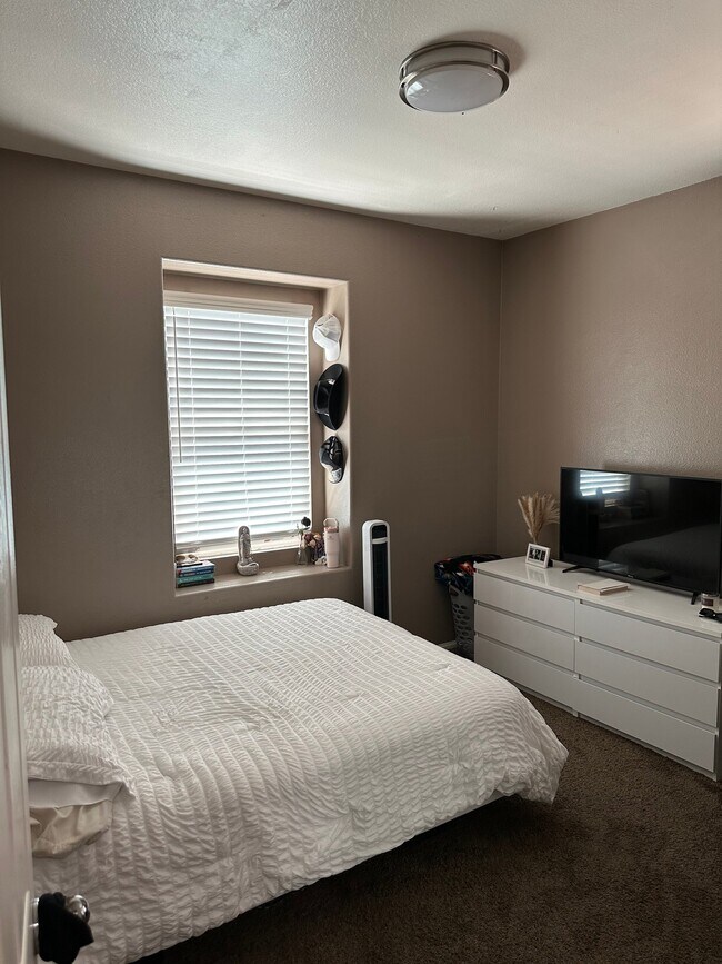 Foto del edificio - 217 Overleaf Way