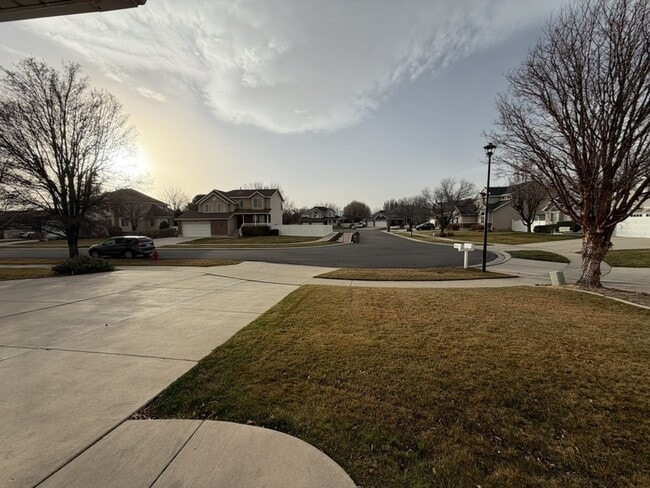 Building Photo - 11651 Mapleberry Ct