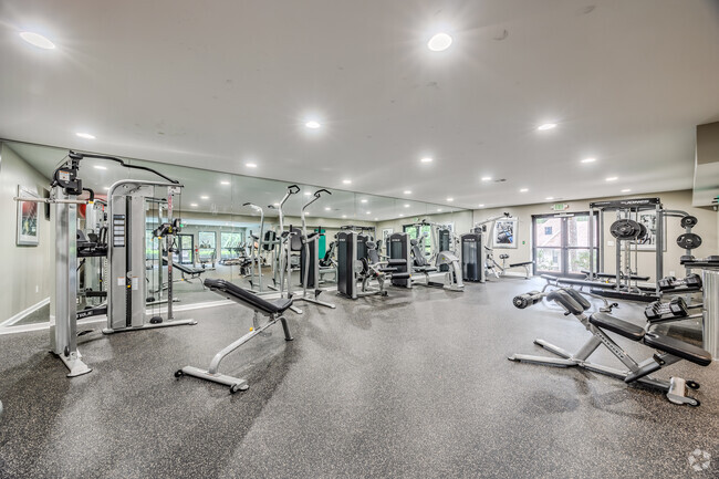 Fitness Center - The Park At East Ponce Apartments