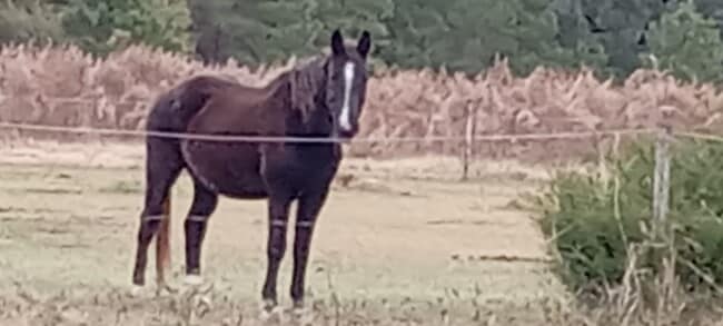 Building Photo - 892 Smith Farm Rd