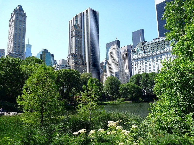 Primary Photo - 53 West 72nd Street