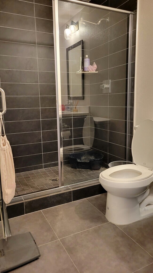 Master Bathroom - 2978 Ripple Plz