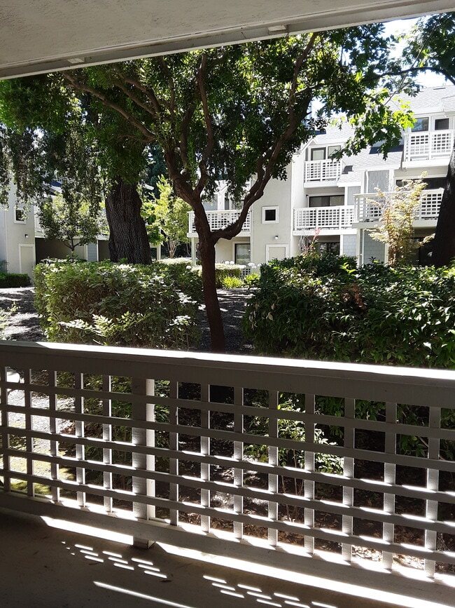Back facing patio - 2598 Oak Rd
