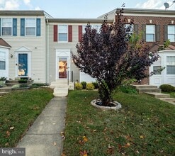 Building Photo - 3317 Hibiscus Ct