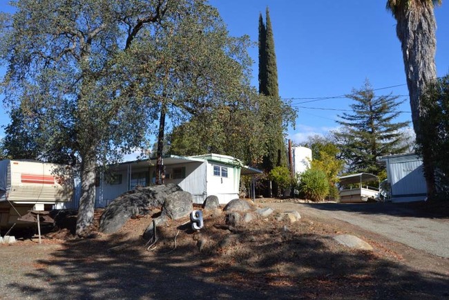 Building Photo - Oak Knolls Trailer Park