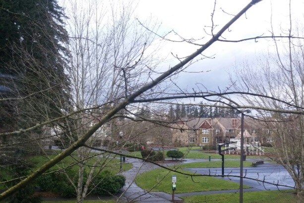 Building Photo - 2663 NW Palazza Way