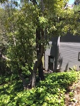 Building Photo - 58 Roble Rd