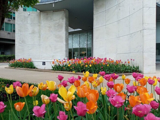 Foto del edificio - 3600 N Lake Shore Dr