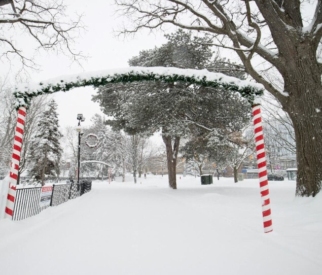 Outdoor staking rink at Gage Park during the winter.