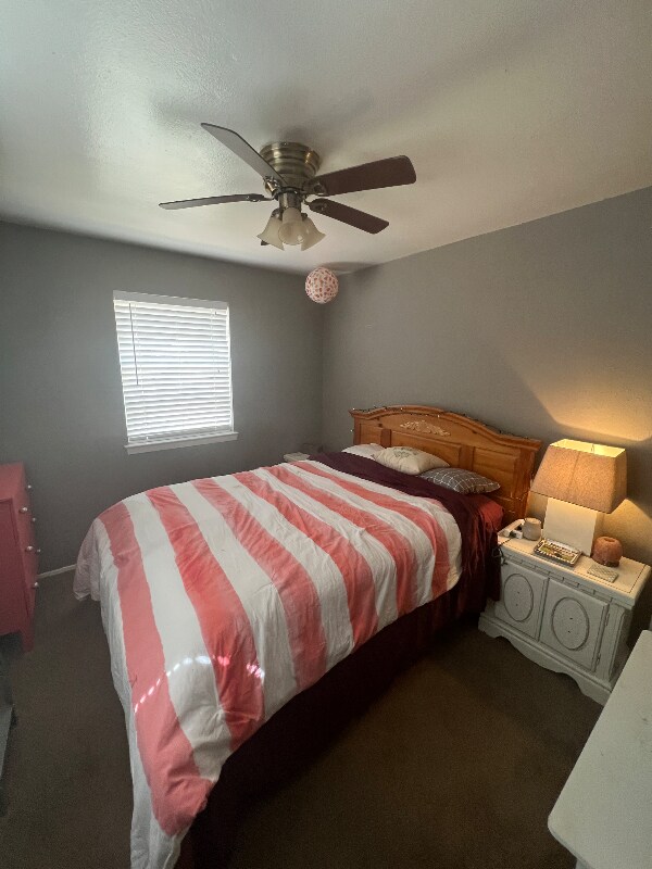 Foto del edificio - 3926 Mehalia Dr