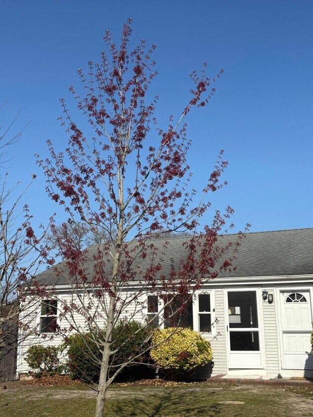 Foto principal - 4 Summer St