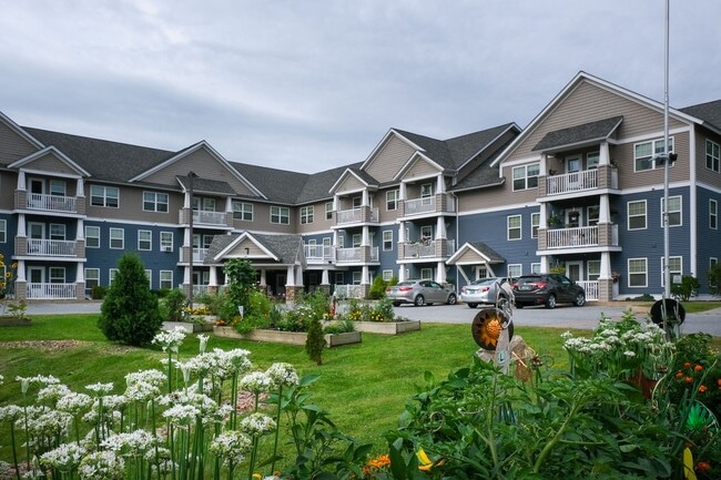 1 bed, 1 bath independent senior living (5... - 1 bed, 1 bath independent senior living (5... Apartment
