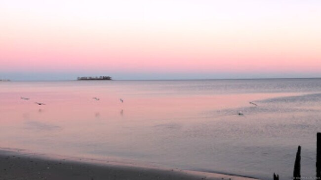 Foto del edificio - 53 Wildwood Ave