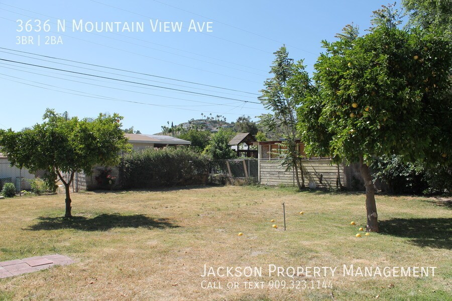 Primary Photo - 3636 N Mountain View Ave