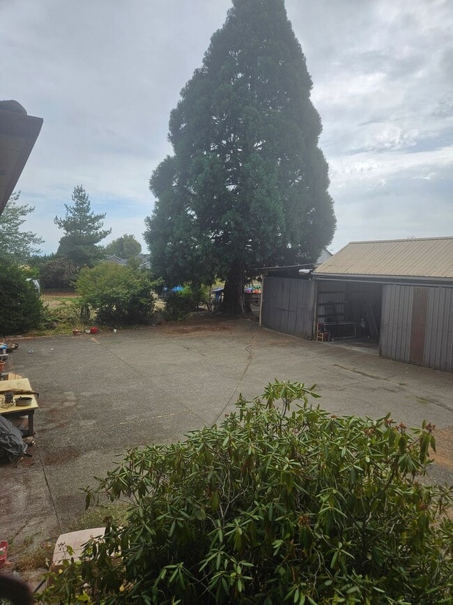 Building Photo - Spacious 4 bedroom/2.5 bath home on 1.5 acres