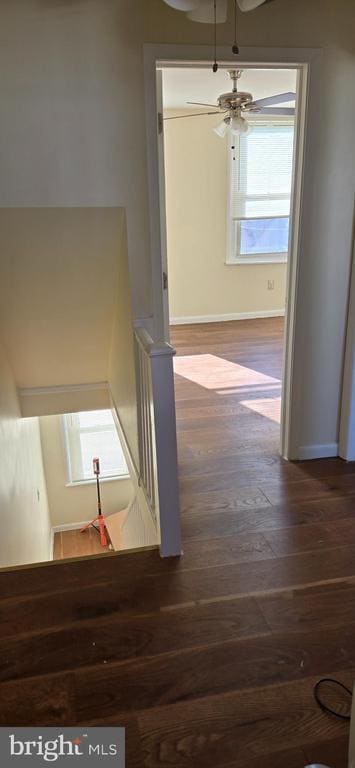 Foto del edificio - 2831 Cantrell St