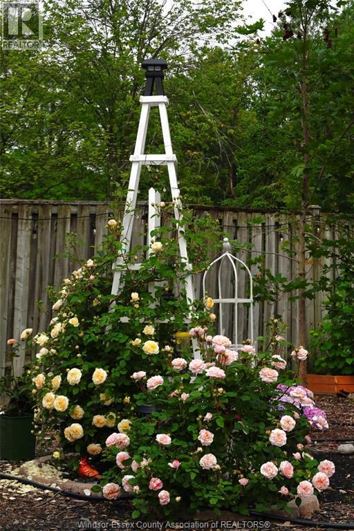 Photo du bâtiment - 3795 Askin Ave