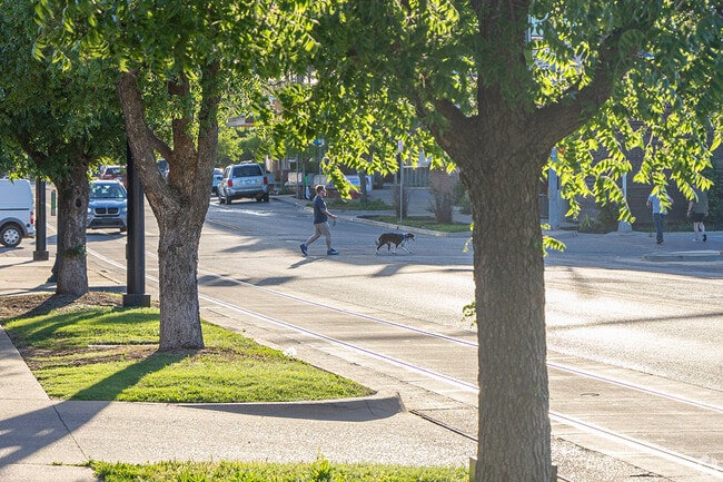 ake the dogs for a walk around Midtown to the Midtown Dog Park.