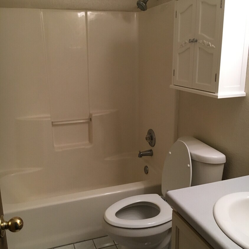 Master Bath - 1204 spring st