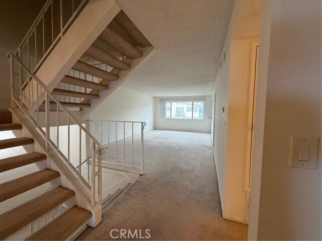 Foto del edificio - 28207 Ridgethorne Ct