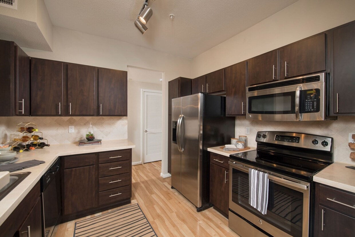 The Belmont - The Belmont