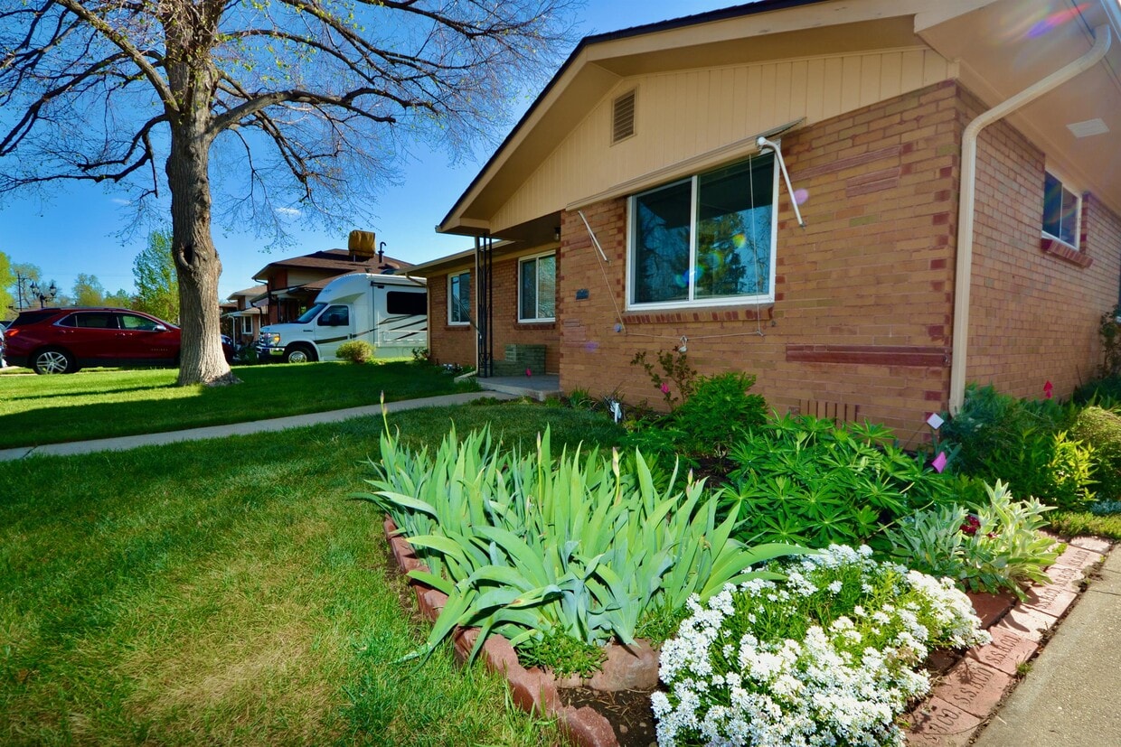 Photo - 5440 Nolan St (Arvada, CO)