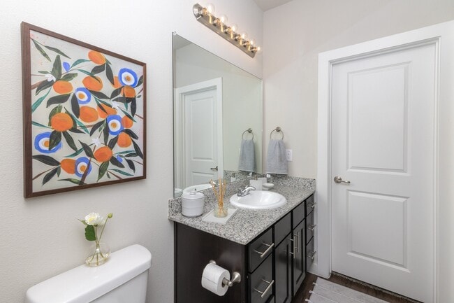 Townhomes at Bluebonnet Trails