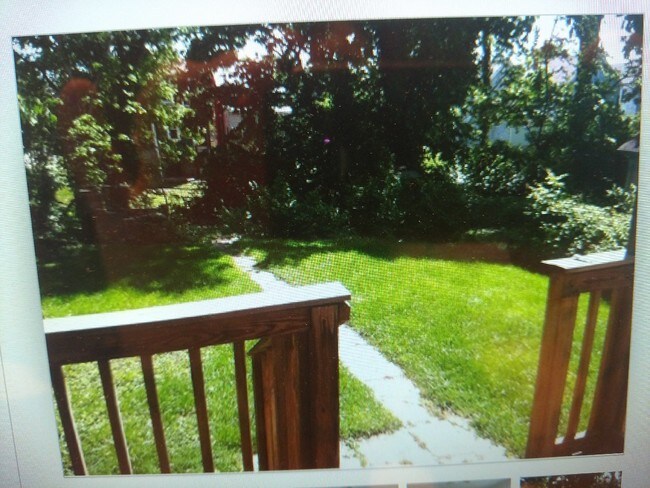 Park like backyard - 1617 Potter Pl