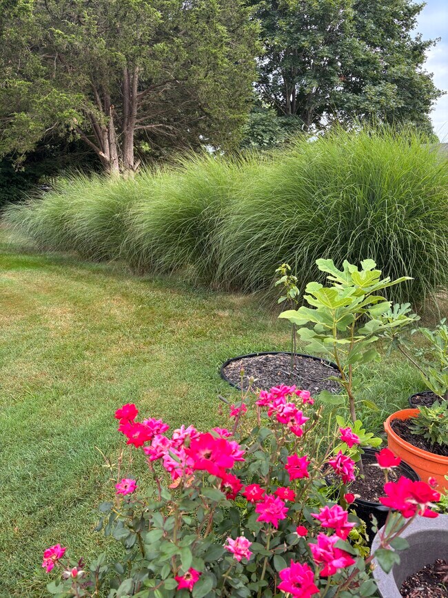 hermoso paisaje - 20 N Bridebrook Rd