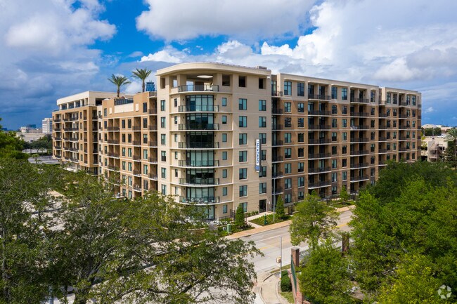 Building Photo - The McAdams at Memorial City