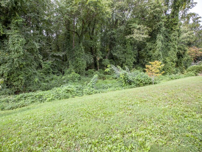 Patio trasero aislado que linda con Rock Creek. - 612 Rock Creek Road