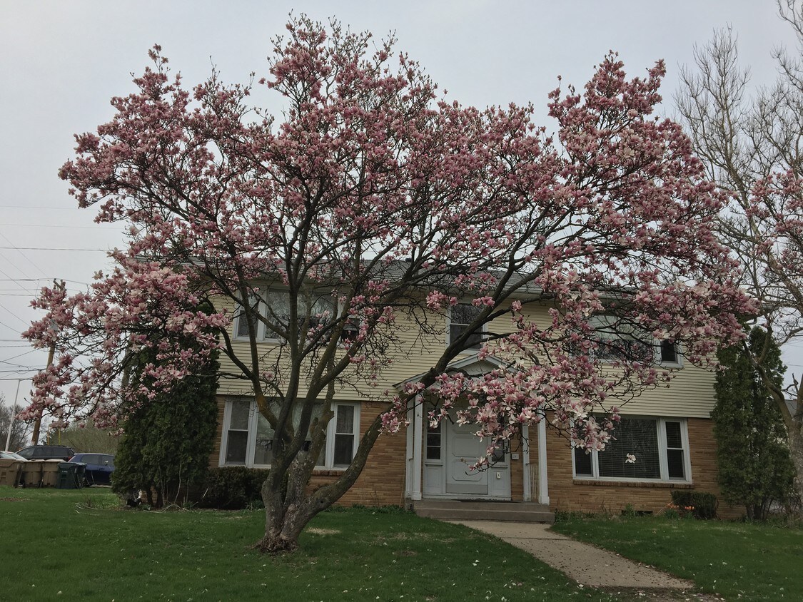 Foto principal - 4262 Lumley Rd