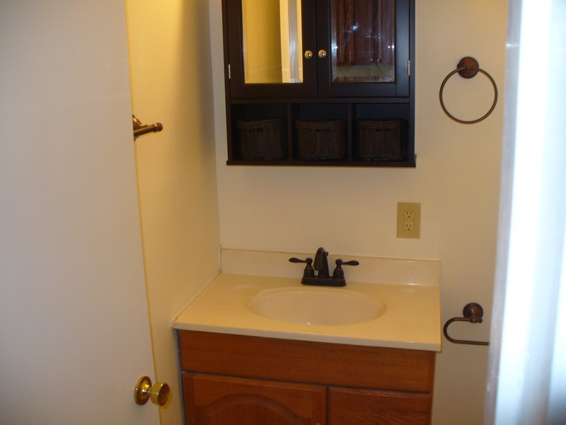 Updated Bathroom - 113 Vine St