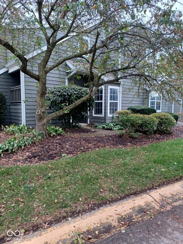 Primary Photo - 7717 Harbor Dr