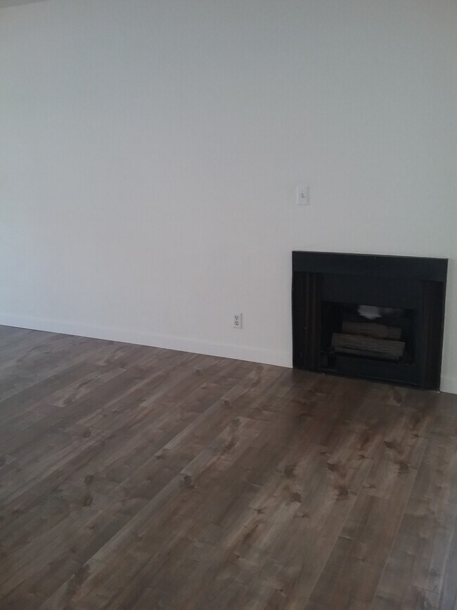 Fireplace - 10839 Hortense St