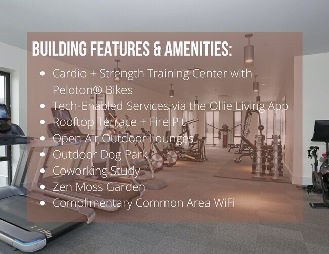 Ollie at Baumhaus Apartments Pittsburgh, PA