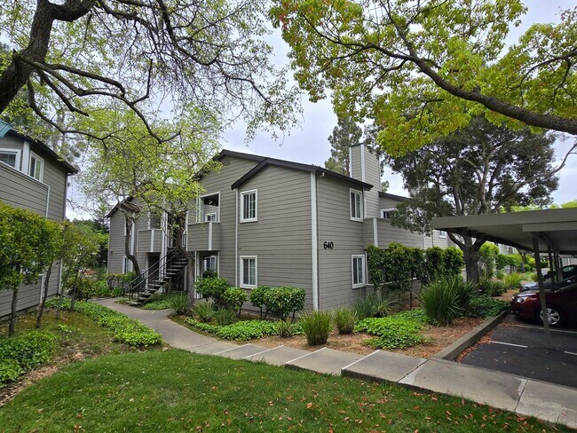 Foto del edificio - Remodeled Lower Level Condo in Oakland, CA...