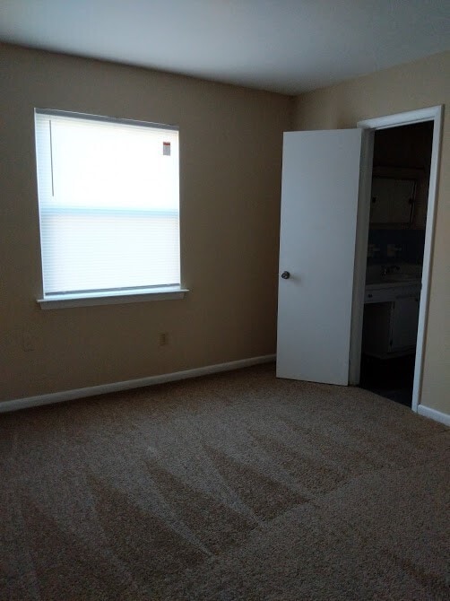 Primary Photo - Winterhaven Apartments
