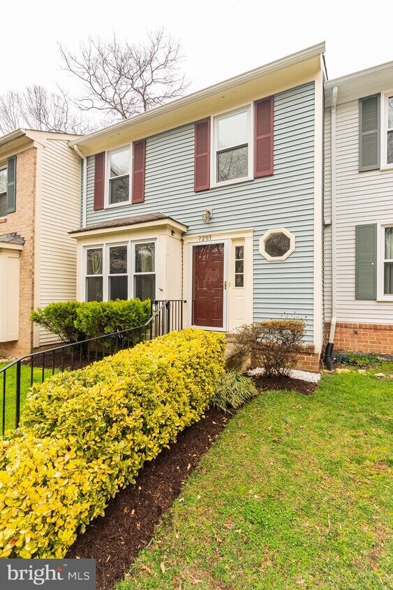 7203 Kousa Ln, West Springfield, VA 22152 Townhome Rentals in West