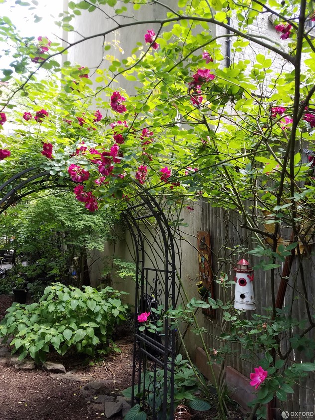 Foto principal - 531 East 6th Street
