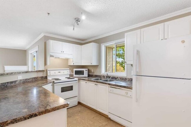 Photo du bâtiment - 4000 Somervale Crt SW