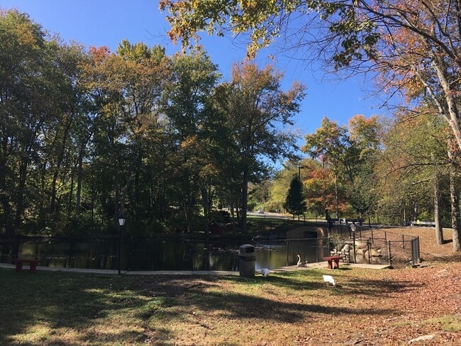 Foto del edificio - 13 Shadowbrook Ln