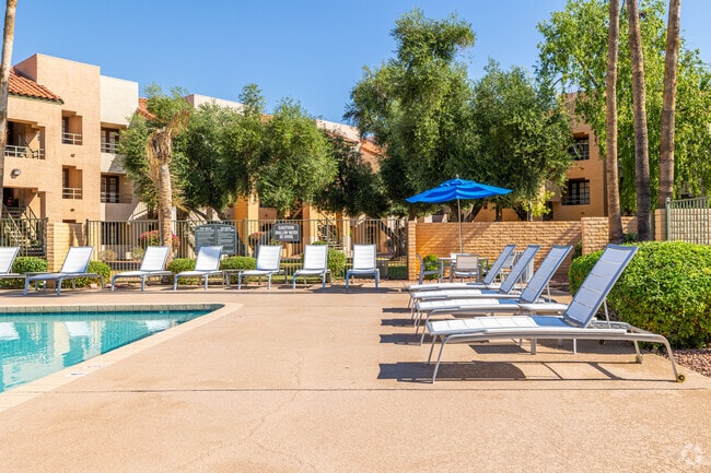 East Pool - Olive Tree